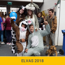 Elvas 2018